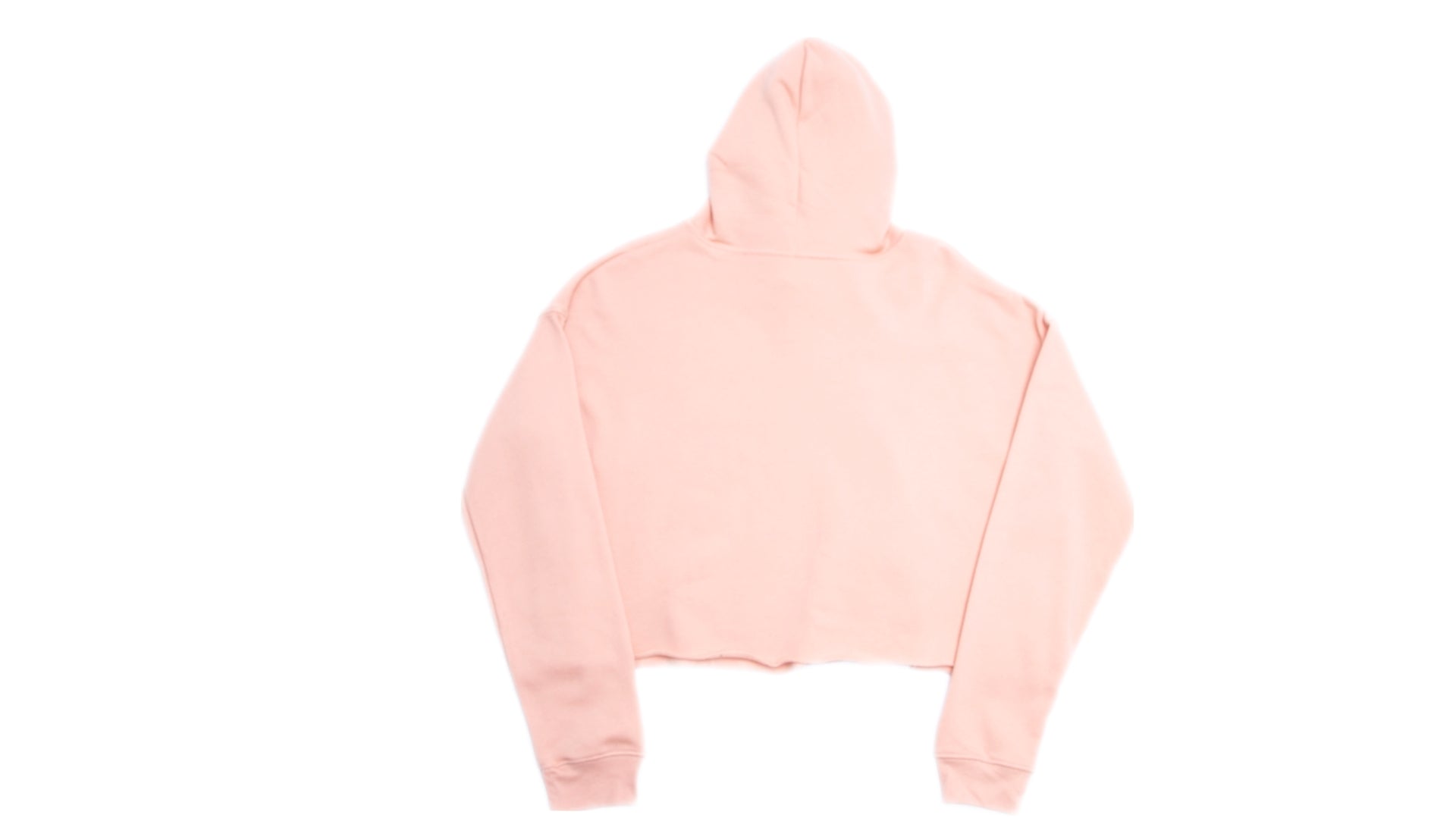 Back of Light Pink Cropped Hoodie