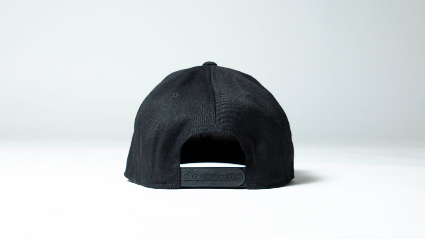 Back of Black Snapback Hat